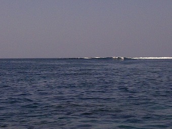 Denpasar Selatan-20110920-00089