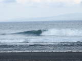 IMG_2262[1]