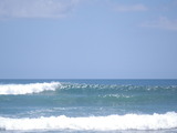 IMGP1440