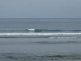 IMG_2233[1]