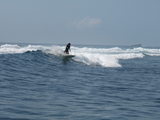 PA070383