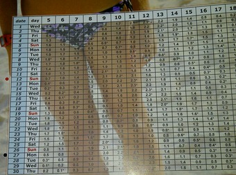 Denpasar Selatan-20111008-00191