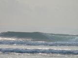 5-SP-sanur reef-011