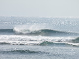 PC236585