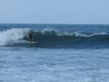 IMG_1956[1]