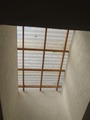 P5070133