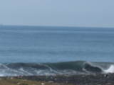 IMG_2355[1]