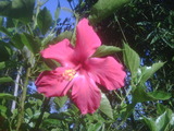 IMG00728-20100918-0642