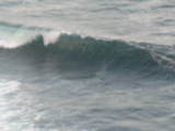 IMG_1924[1]