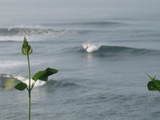 IMG_2246[1]
