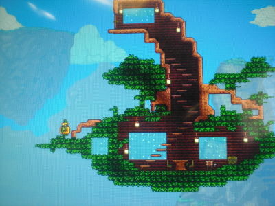 テラリア ｐｓ４ 報告１６ どんぐりタウン通信