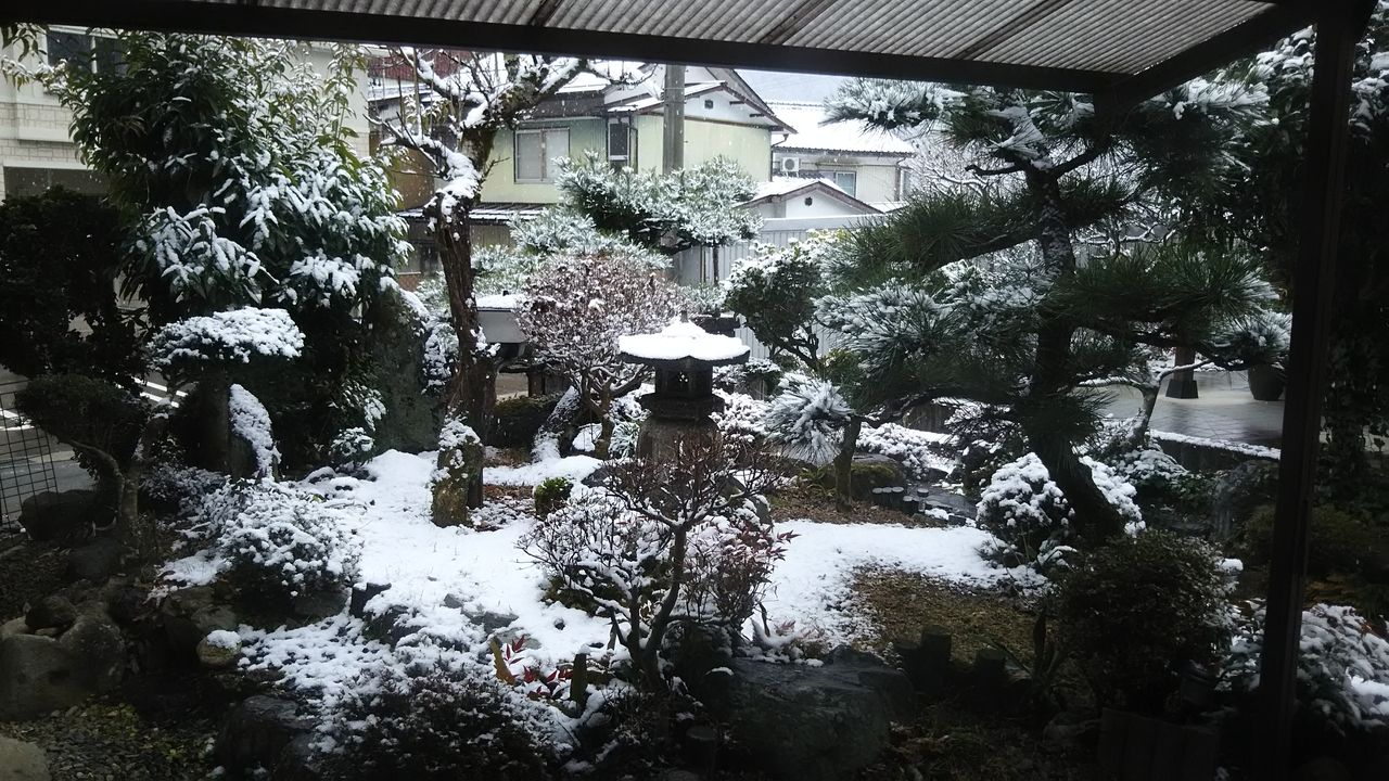 雪の郡上八幡 愛猫と 郡上八幡きなこのおめめ見えなくても ねこのて 雪の郡上八幡 愛猫と 郡上八幡きなこのおめめ見えなくても ねこのて