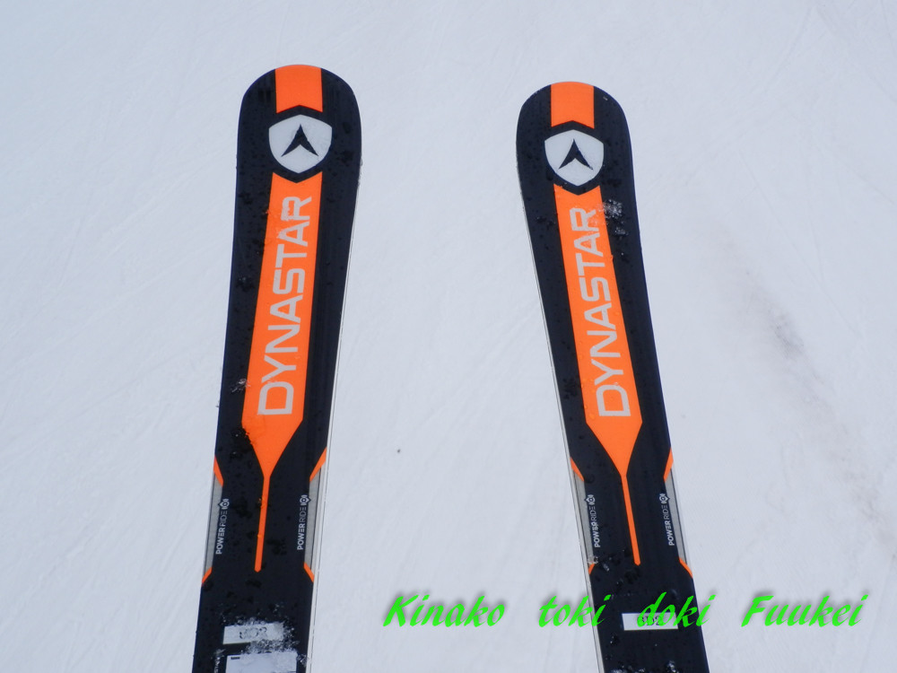 フォルクル プラチナム SW 汚かっ 166cm 2016-17 