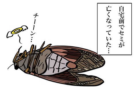 6D6FD9D1-3D79-4BB0-8F7B-68BDF6AA6F85