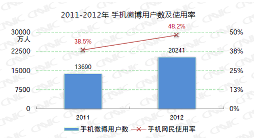 20130116_写真_中国_ネット_9