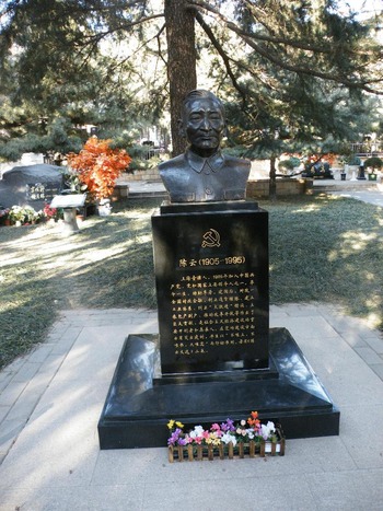 20110106_china_column1