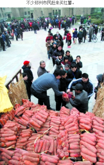 20111205_写真_大根アニキ_中国版フリー
