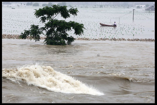 20110617_flood3