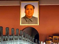20101104_shencha2