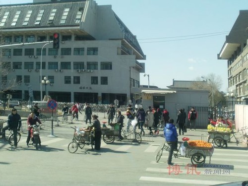 20110308_chinese_jasmine9