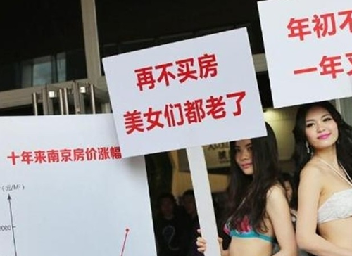 20130616_写真_中国_アヒル_4