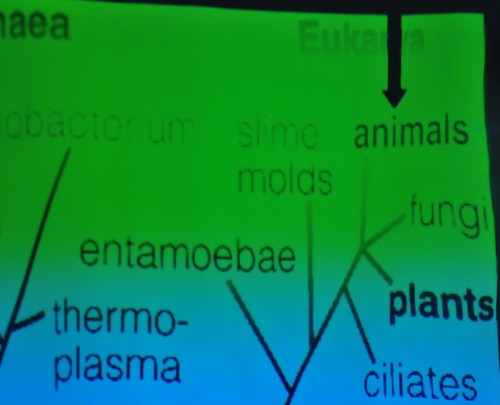 20111217_Cosmology_ダライ・ラマ_8