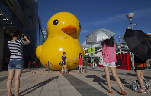 20130616_写真_中国_アヒル_