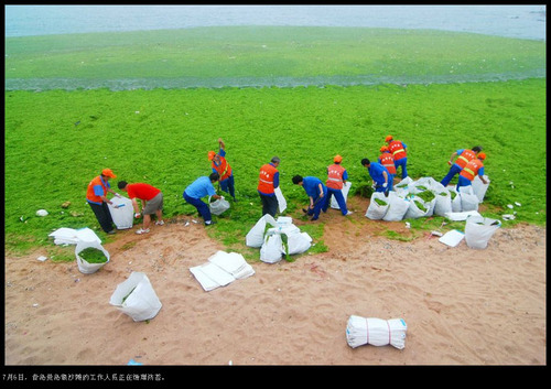 20110707_green_laver2