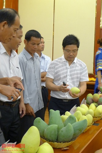 20130811_写真_中国_百色市_2