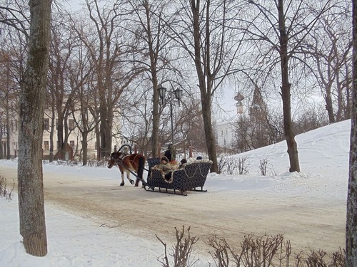 20120301_ロシア_スーズダリ_07