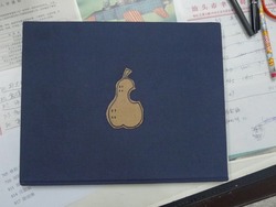 20101029_Pear1