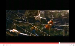 全画面キャプチャ 20101003 231000