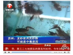 20100826_xiaolongxia2