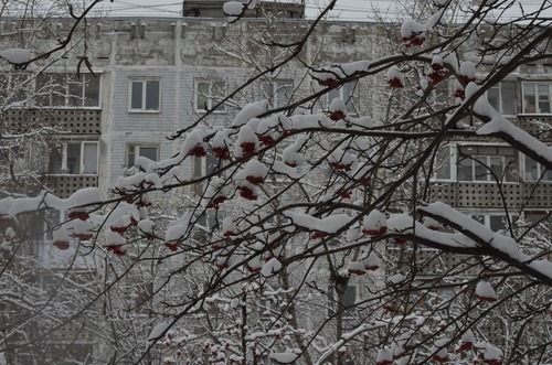 20120204_写真_ロシア_工場1