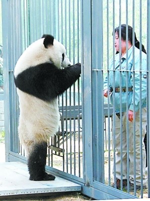 20120706_写真_中国_06