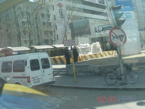 20110308_chinese_jasmine2