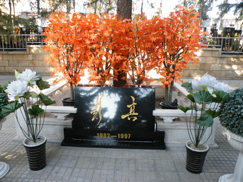20110106_china_column2