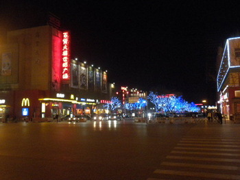 20101229_Agriculture5