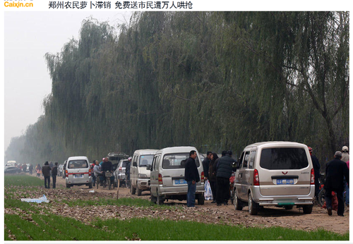 20111202_写真_大根_略奪