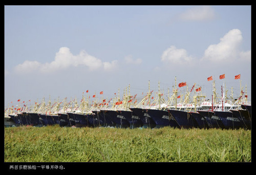20110805_typhoon2