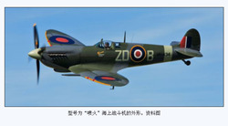 20101109_Spitfire3