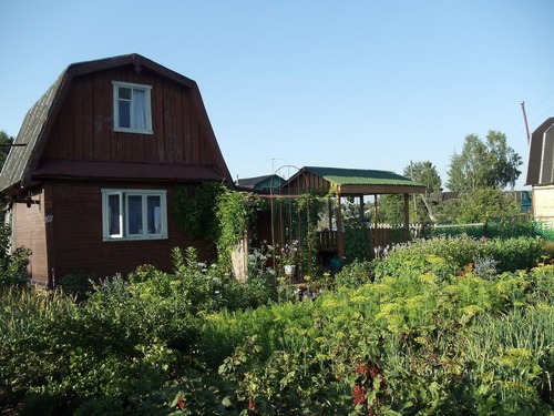 20110808_dacha1