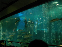 qingdaohaidi_2006_3