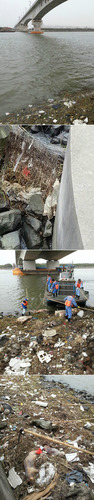 20130311_写真_中国_ブタ_1