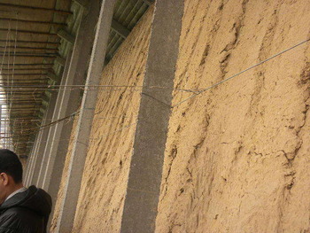 20101229_Agriculture2