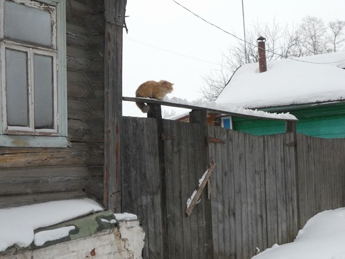 20120227_写真_ロシア_窓_13