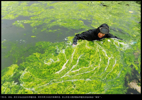 20110707_green_laver3