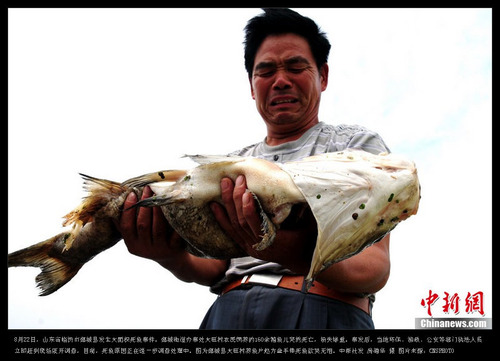 20110826_carp1