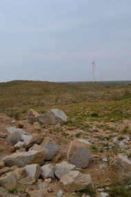 20130330_写真_中国_モンゴル_2