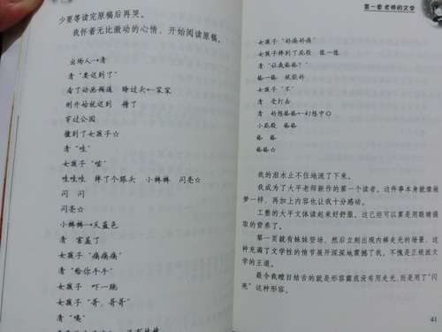 20130604_写真_中国_ラノベ_2